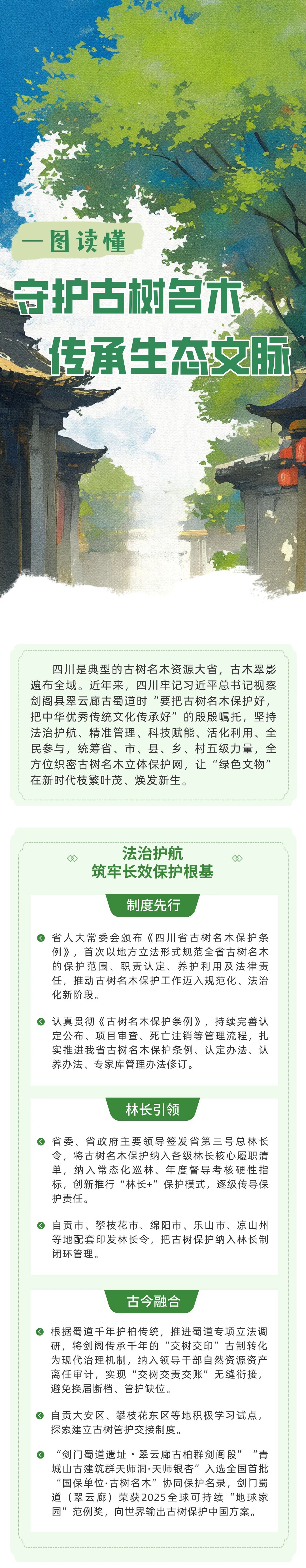 一图读懂｜四川：守护古树名木 传承生态文脉