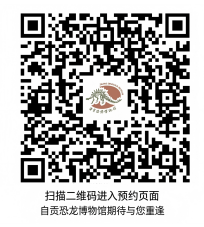 冲冲冲！今日起，自贡恐龙博物馆恢复开放！